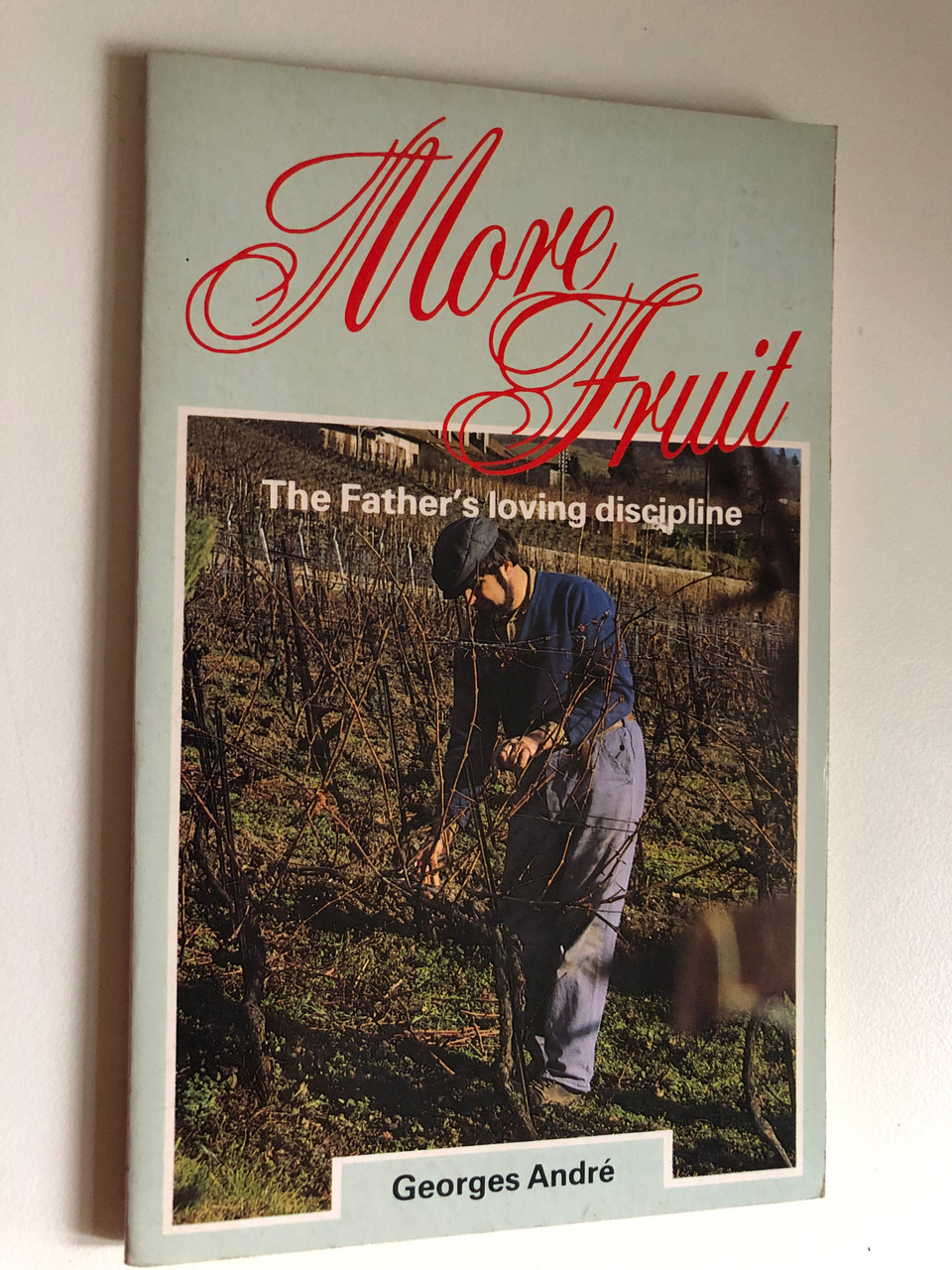 More_Fruit_The_Fathers_Loving_Discipline_by_Georges_Andre_J._Scales_Translator_Published_by_CHAPTER_TWO_London_England_2__54865.1690597357.1280.1280.JPG (960×1280)