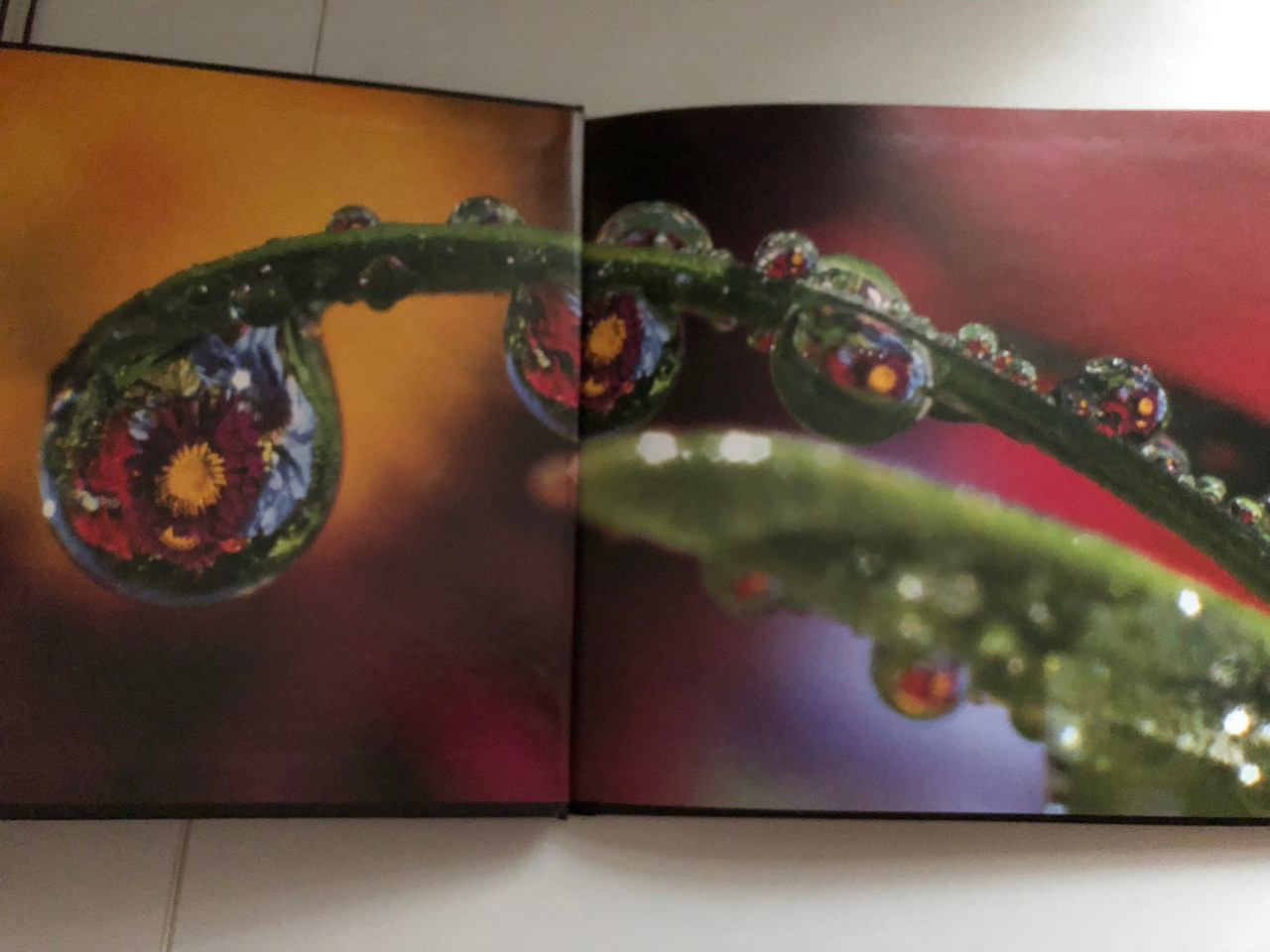 The_Wonder_of_It_All_The_Creation_Account_According_to_the_Book_of_Job_Published_by_New_Leaf_Publishing_Group_3__98839.1690623044.1280.1280.JPG (1280×960)