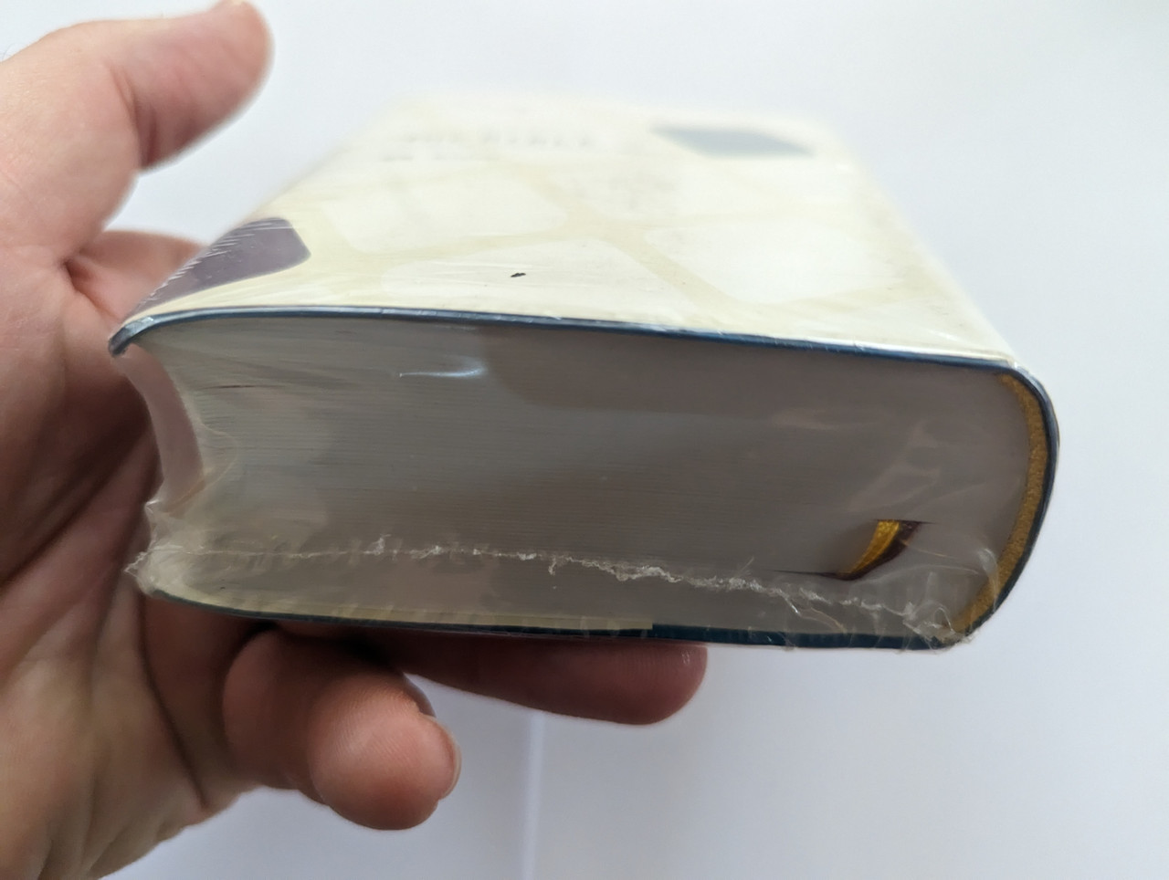 Japanese Pocket Bible – New Interconfessional Translation
