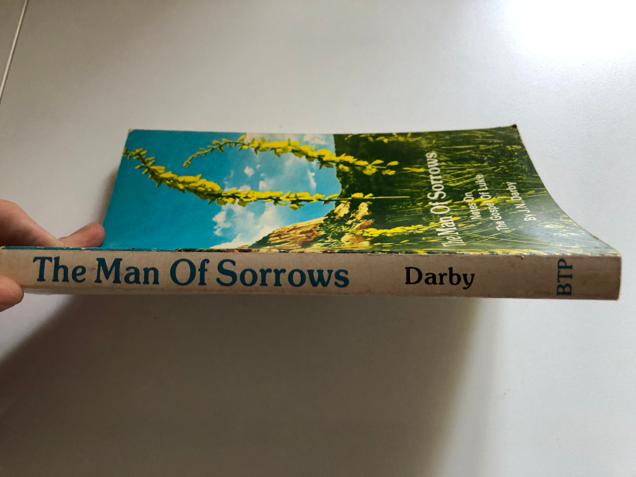 The_Man_Of_Sorrows_by_John_Nelson_Darby_Chapter_by_chapter_commentary_on_the_Gospel_of_Luke_Publisher_BIBLE_TRUTH_PUBLISHERS_JNDarby_1__79053.1691332280.1280.1280.JPG (1280×960)