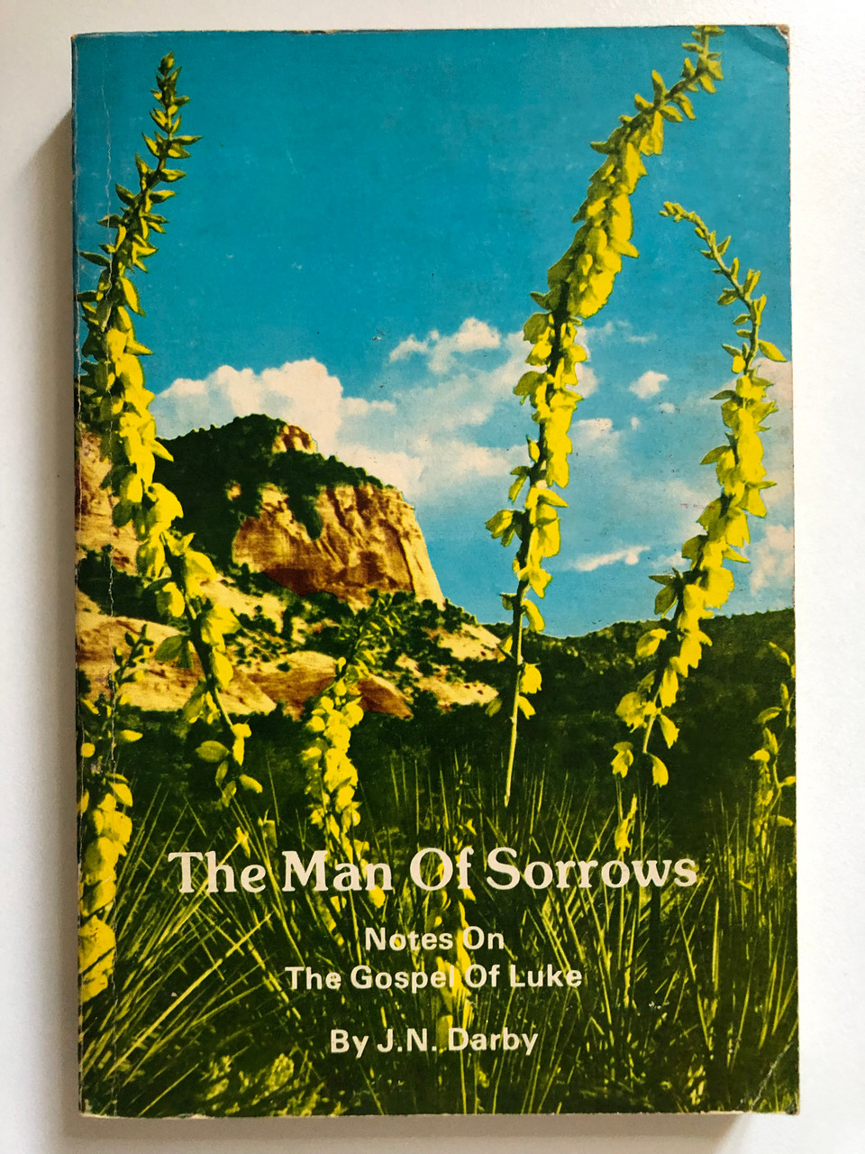The_Man_Of_Sorrows_by_John_Nelson_Darby_Chapter_by_chapter_commentary_on_the_Gospel_of_Luke_Publisher_BIBLE_TRUTH_PUBLISHERS_JNDarby_3__94223.1691332281.1280.1280.JPG (960×1280)