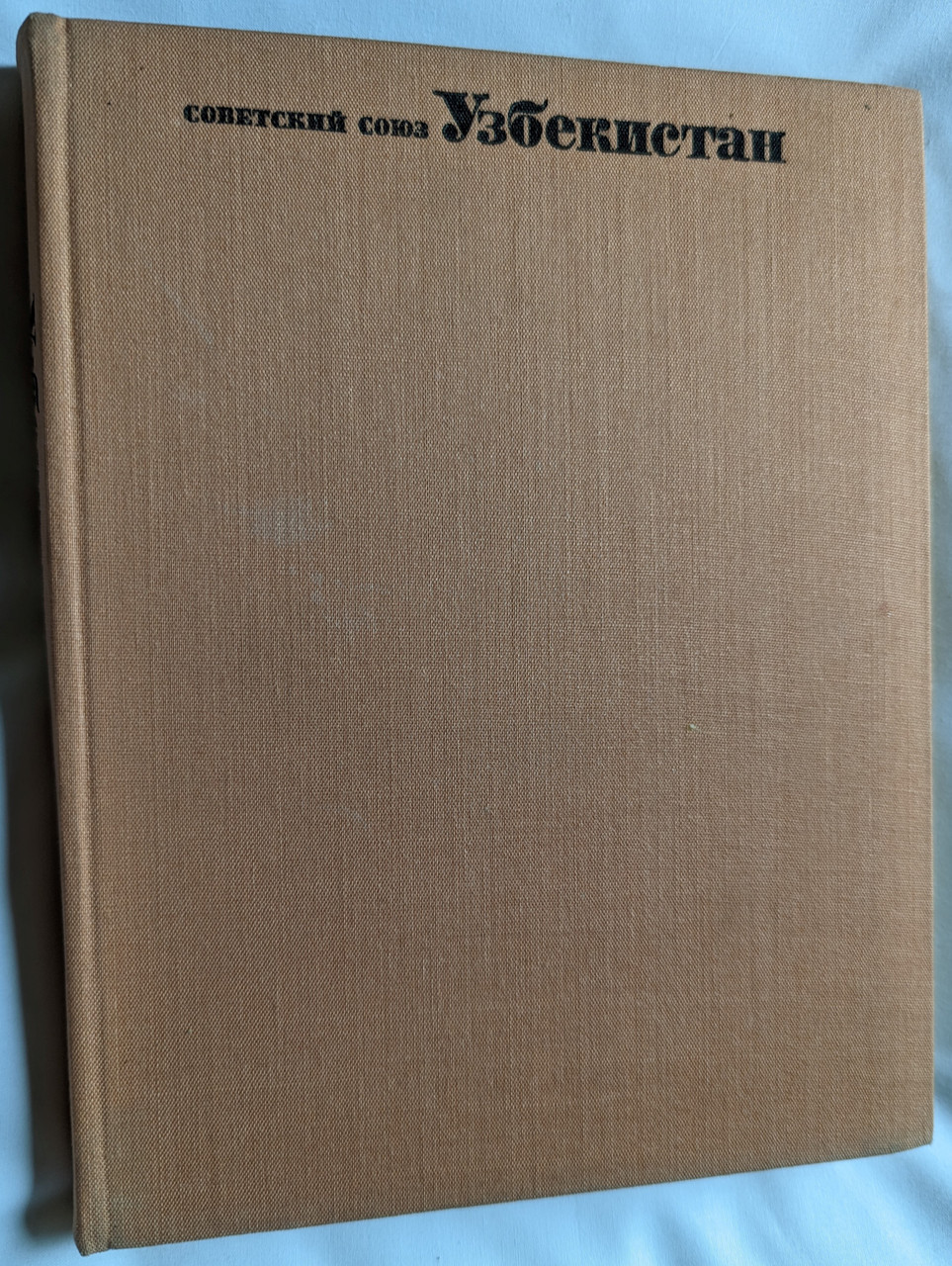 PXL_20230610_023707940__97350.1692195946.1280.1280.jpg (963×1280)