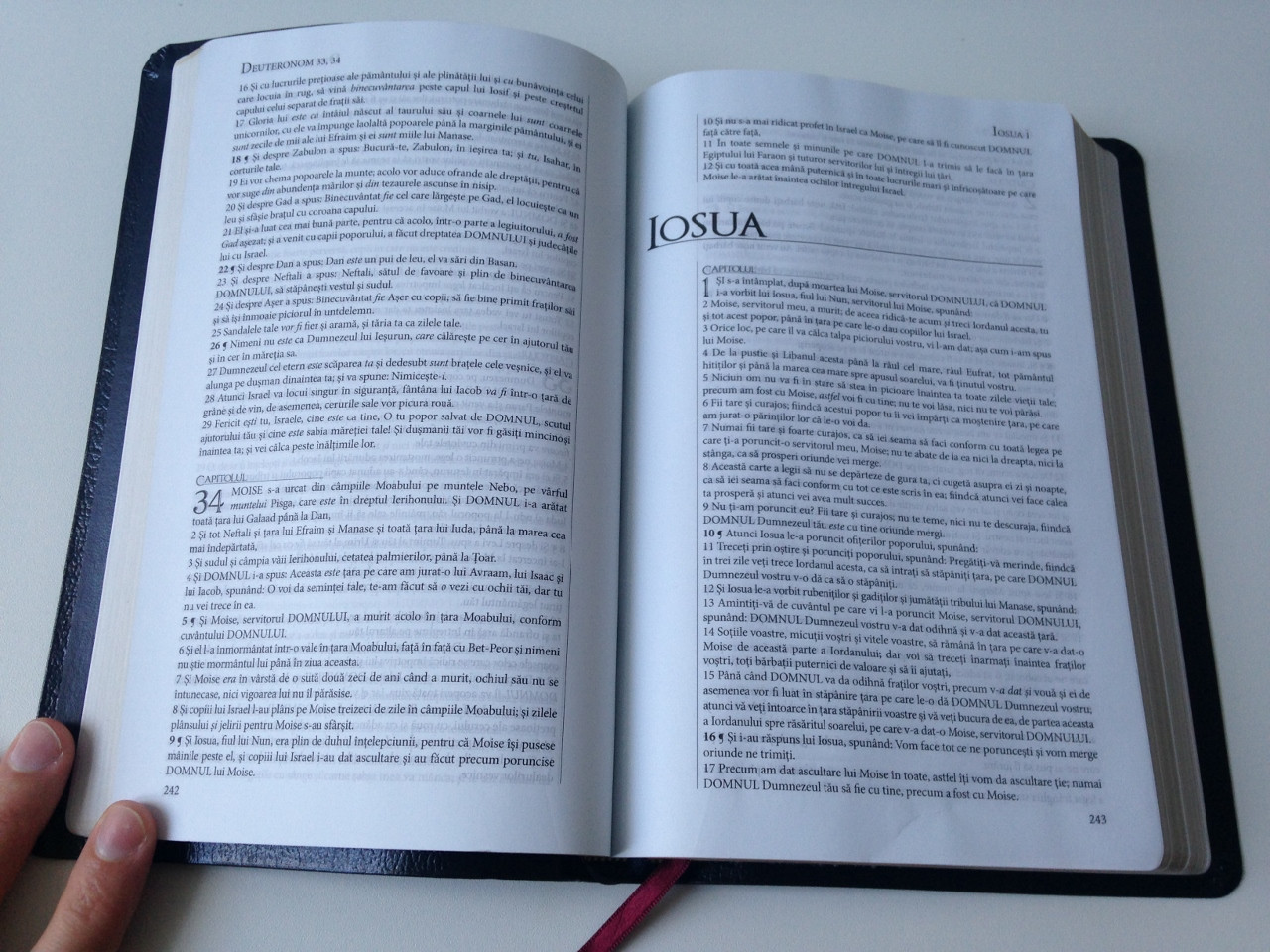 Romanian Fidela Bible / Biblia Fidela - Traducere Literala Noua Completata,  Revizuita si Actualizata - bibleinmylanguage