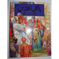 The Children's Bible in Urdu Persian / Pakistan Children's Bible [Hardcover]
