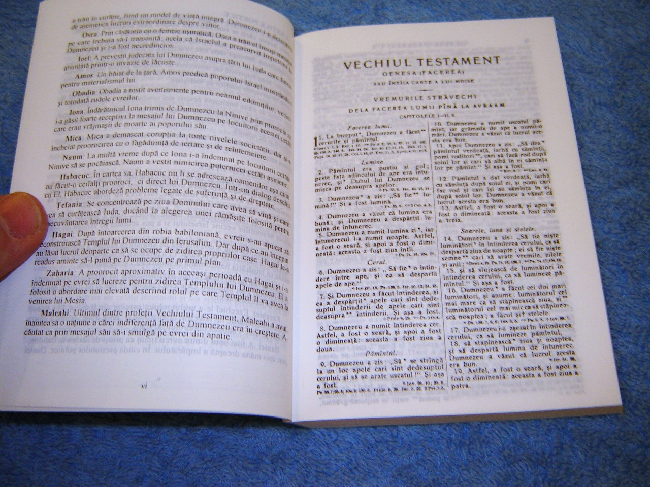 Romanian Bible Biblia Sau Sganta Scriptura A Vechiului Si Noului