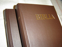Slovak Bible, Brown Hardcover – Old and New Testaments / Biblia, Hnedy Viazaná Kniha – Pismo Svate Starej a Novej Zmluvy