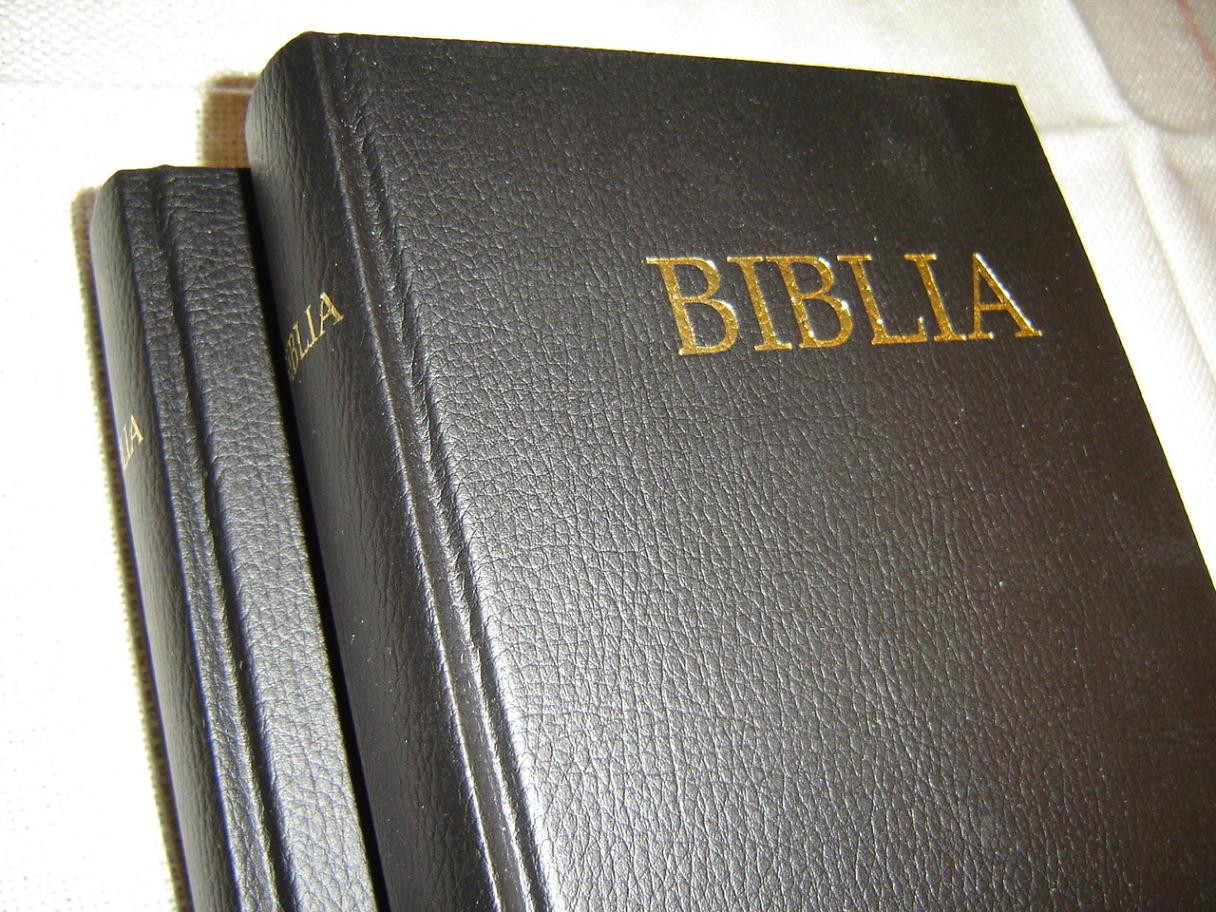slovak bible bibleworks 10