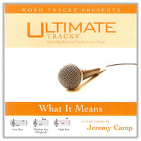 Ultimate Tracks: What it Means (as made popular by Jeremy Camp) [Audio CD]