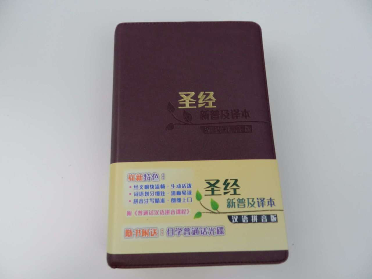 Leather Bound Chinese New Living Translation CNLT Bible with