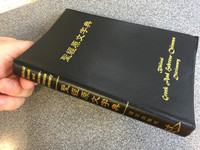 Biblical Greek and Hebrew - Chinese Dictionary /  Supplement for the Chinese Bible with Strong's Concordance Numbers / This is the Hebrew - Greek Study Bible Dictionary in CHINESE 