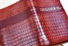 Russian Synodal Bible Русская Библия Синодальный перевод / Brown Luxury Imitation Leather Cover with Golden Edges, Thumb Index, and Zipper / Russia (9789664120293)