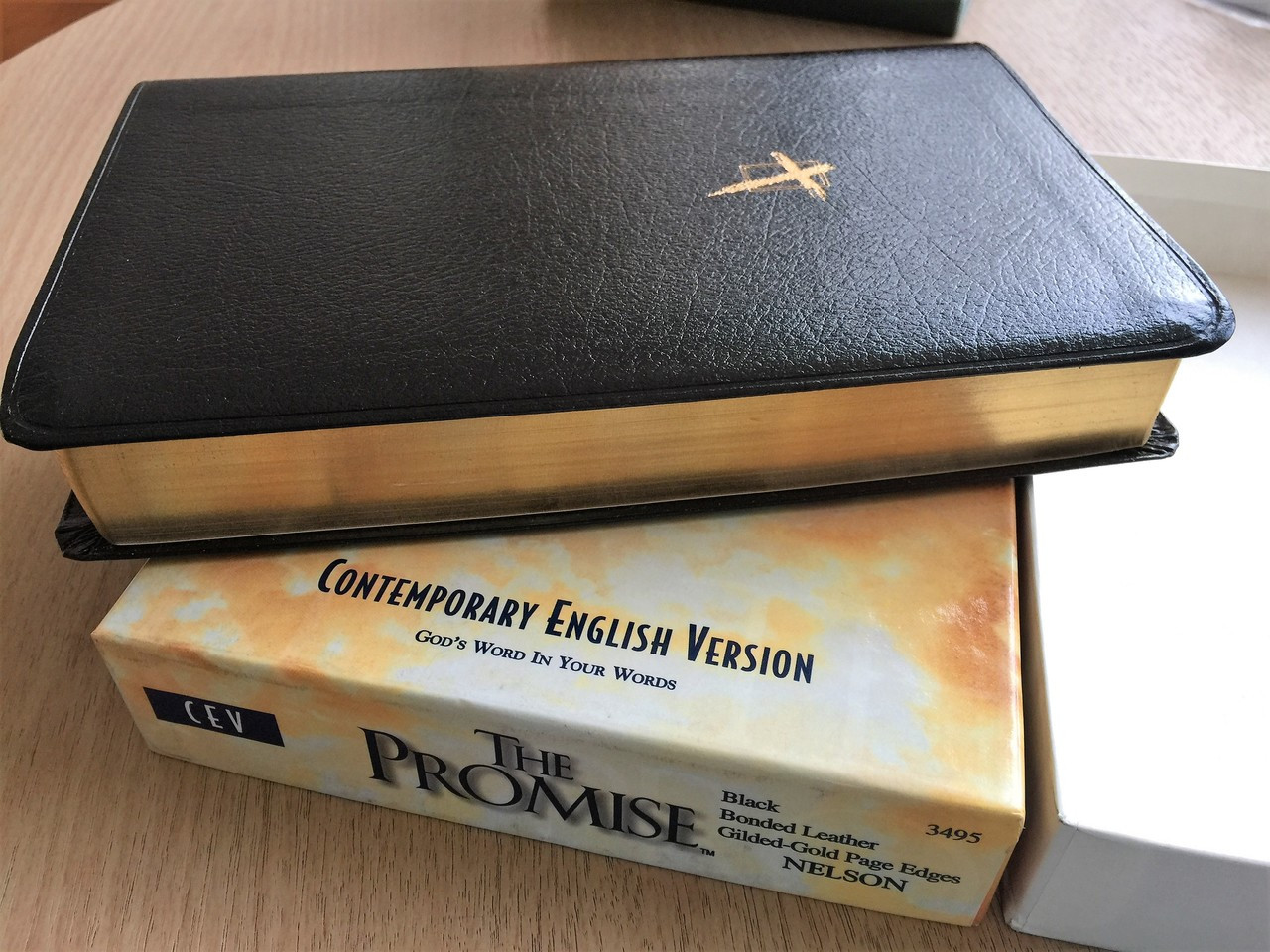 The Promise Bible CEV 3495 / Contemporary English Version the Promise