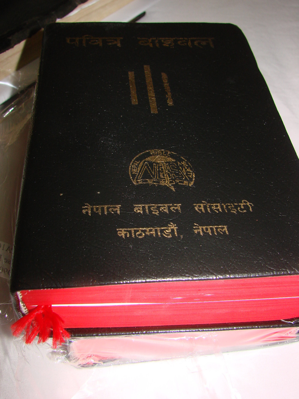 Nepali Bible / New Revised Version / 10 NEPA 106 L / Nepalese Language