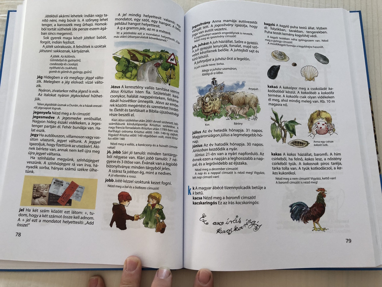 Ablak - Zsiráf Gyermeklexikon / Classic Hungarian Picture Dictionary For  Children / 40th Edition / Tanulj Magyarul - Bible in My Language