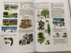 Ablak - Zsiráf / Classic Hungarian Picture Dictionary For Children 42th Edition