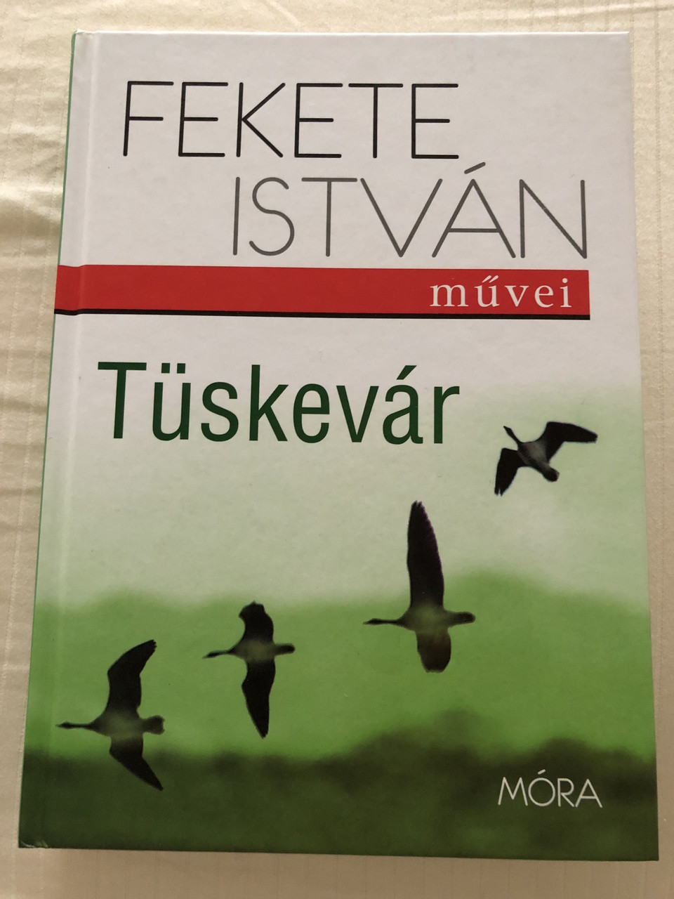 Fekete István - Tüskevár - Thorn Castle / 17th Edition / ILLUSTRATED  HUNGARIAN LANGUAGE CLASSIC LITERATURE - bibleinmylanguage