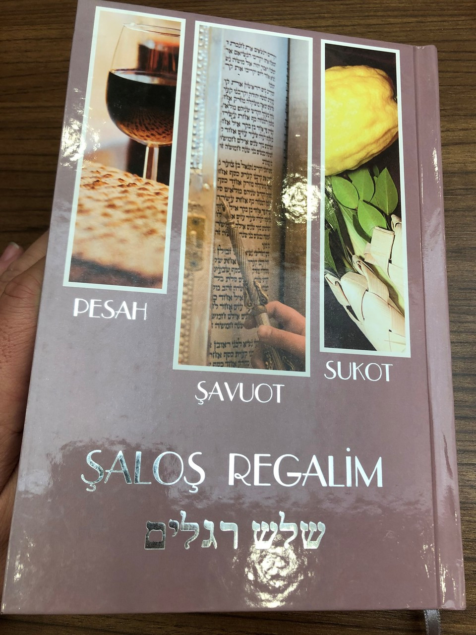 bible in my language