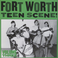 306 VARIOUS ARTISTS - FORT WORTH TEEN SCENE VOL. 3 LP (306)