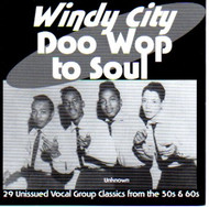 WINDY CITY DOO WOP TO SOUL (CD)