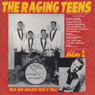 227 THE RAGING TEENS VOL. 2 CD (227)