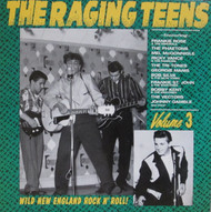 228 THE RAGING TEENS VOL. 3 CD (228)