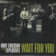 143 ROKY ERICKSON AND THE EXPLOSIVES - WAIT FOR YOU / I'VE JUST SEEN A FACE (143)