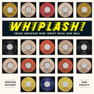 401 WHIPLASH - CRUDE UNISSUED NEW JERSEY ROCK AND ROLL (401)