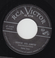 TERRY  - SONNY TERRY - HOPPIN AND JUMPIN