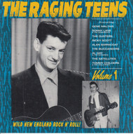 226 THE RAGING TEENS VOL. 1 LP (226)