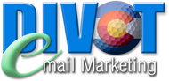 DIVOT Email Marketing - $100