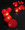 Red Ball LED Fairy String Lights