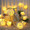 white rose fairy light battery Power pack wedding table room decoration