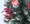 60cm Xmas Mini Christmas Tree Decoration Red Theme Tealight Candle Holder Table Deco