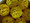 Yellow Ball Rattan Fairy Lights