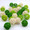 Green and White  Ball Rattan Fairy Lights