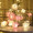 Pink white rose fairy light