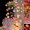 Pink white rose fairy light