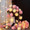 Pink white rose fairy light