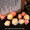Pink white rose fairy light