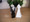 Bride & Groom Wedding Bomboniere Favor Box