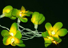 Green Frangipani LED Fairy Lights battery powered