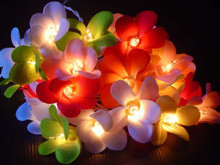Tropical colour frangipani LED fairy lights