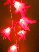 Red Feather lights on a string of 20 Bulbs - Hens Night Decorations