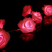 Red rose fairy light