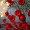 Red rose fairy light