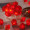 Red rose fairy light
