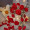 Red rose fairy light
