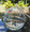 10cm Opening Hanging Ball Succulent, terrarium, wedding centrepiece, product showcase