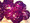 Purple Lilac Ball Rattan Fairy Lights