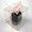 PVC 12x12x12cm Cube Bomboniere Boxes